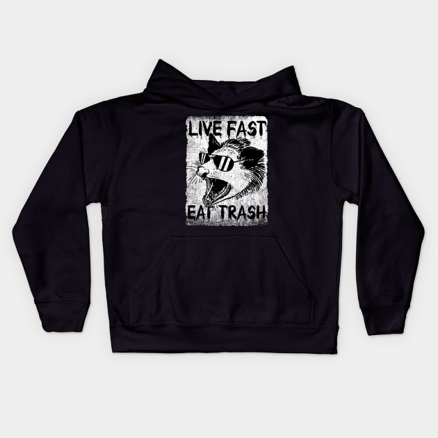 Live Fast Eat Trash Opossum Kids Hoodie by reintdale